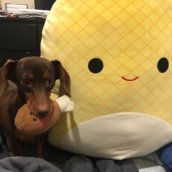 Meet your Posher, Laura - Picture 7 of 12